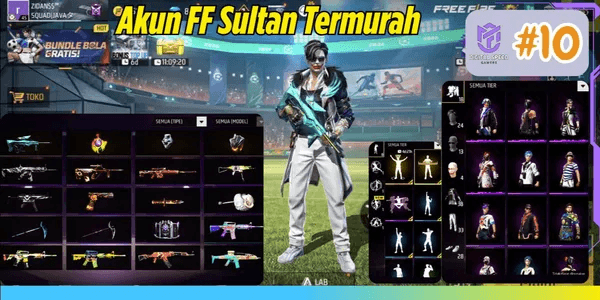 FREE FIRE ACCOUNT AS PER PHOTO #10