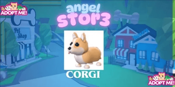 Corgi