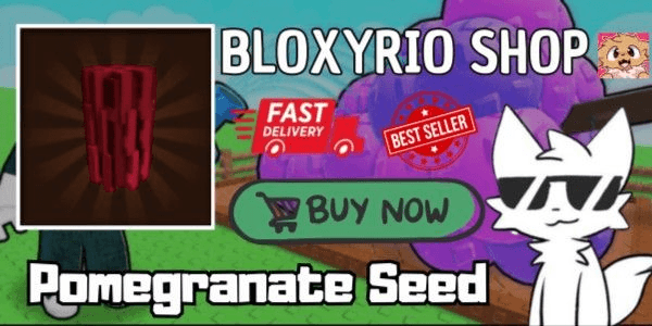 Product Showcase