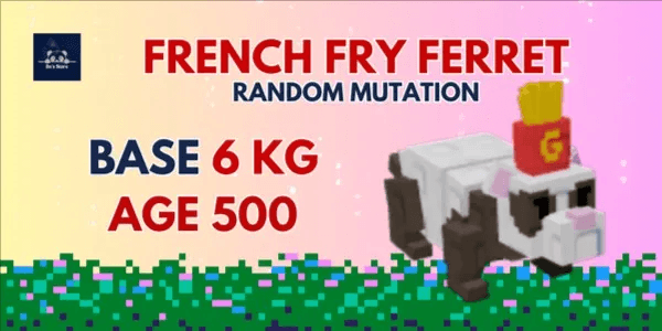 French Fry Ferret