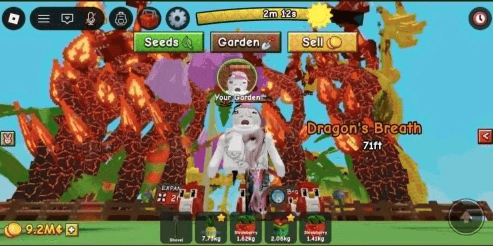 Product Showcase