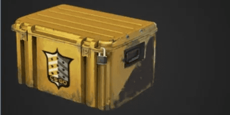 Shadow Case (Base Grade Container)