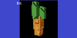 Carrot