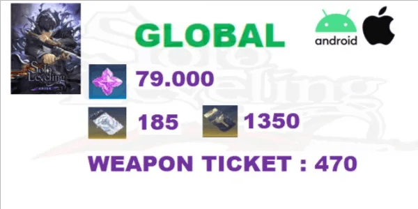 Solo Leveling Arise Global-2 Account