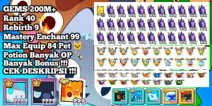 Account Rank 40 + Max Rebirth !!! MANY BONUSES - Pet Simulator 99