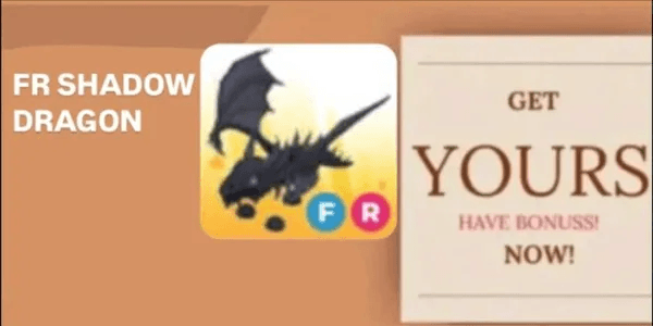Shadow Dragon FR