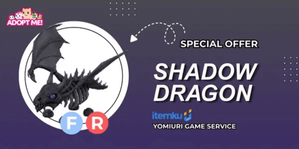 Shadow Dragon FR