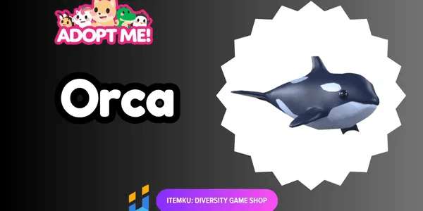 Orca