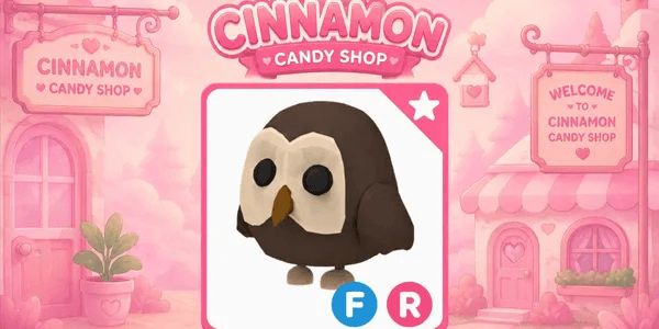 Owl FR