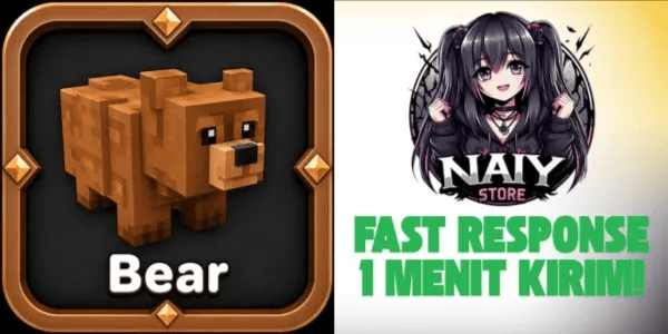 Bear