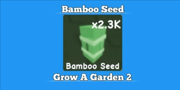 Bamboo