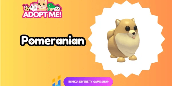 Pomeranian