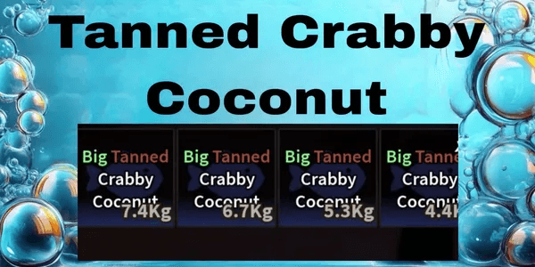Tanned Crabby Coconut