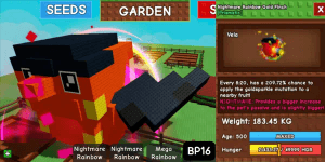 NIGHTMARE RAINBOW GOLD FINCH AGE 500 / NIGHTMARE RBH GOLD FINCH AGE 500 / NIGHTMARE RAINBOW HATCH GOLD FINCH AGE 500