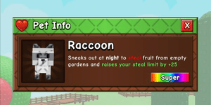 Raccoon