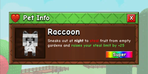 Raccoon