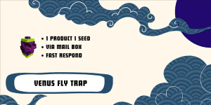 Venus Fly Trap