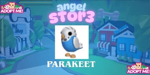 Parakeet
