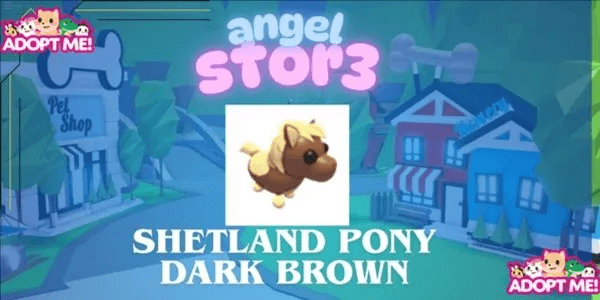 Shetland Pony Dark Brown