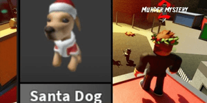 Santa Dog