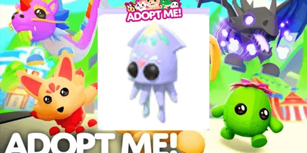 Squid