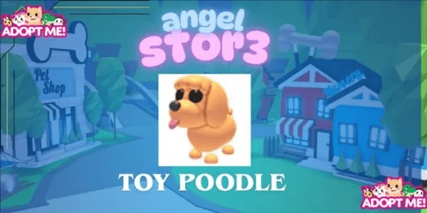 Toy Poodle