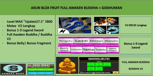 Conta Blox Fruits Full Despertar / Despertar Budhha (Buddha V2) [Nível MÁXIMO]