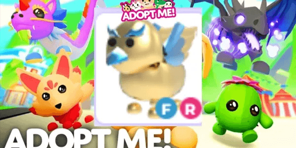 Golden Griffin FR