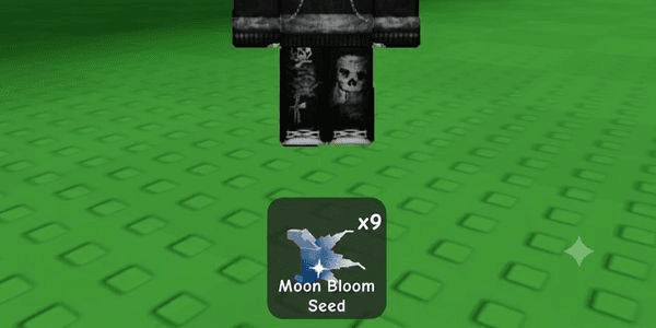 Gambar Product Moon Bloom