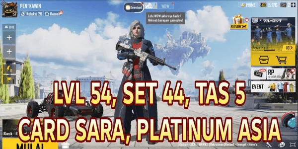PUBG MOBILE PLATINUM ACCOUNT