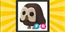 Owl FR