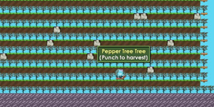 Granja de Pimienta Lista para Cosecha Completa