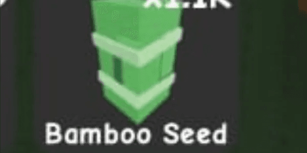 Bamboo
