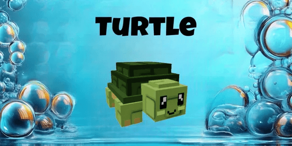 Turtle