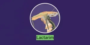 Lactarim
