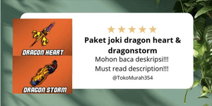 Dragon heart & dragonstorm joki paketi