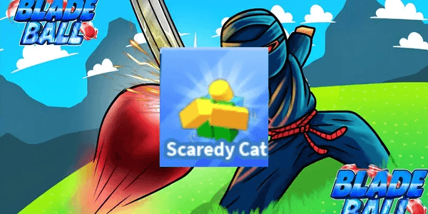 Scaredy Cat