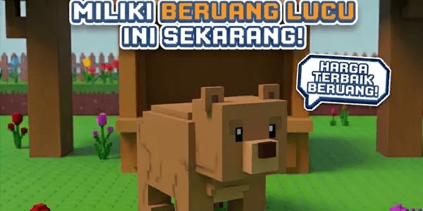 Bear