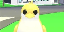 Golden King Penguin