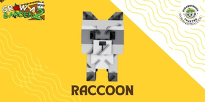 Raccoon