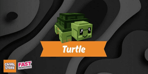 Turtle