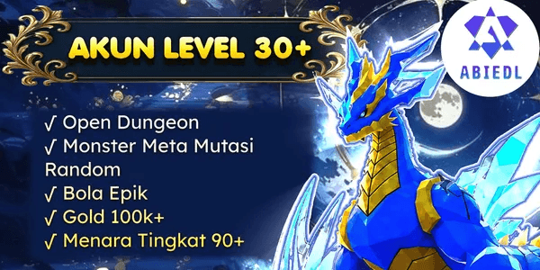 LEVEL 30 ACCOUNT (OPEN DUNGEON)