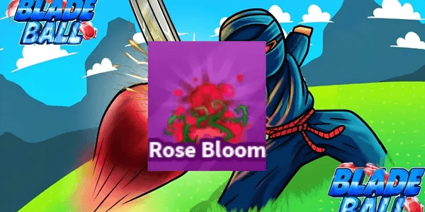 Rose Bloom