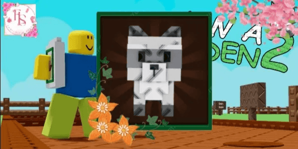 Raccoon