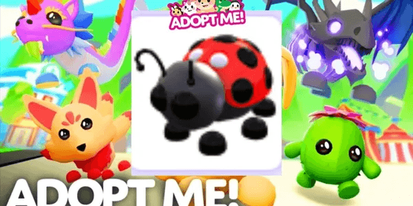 Ladybug