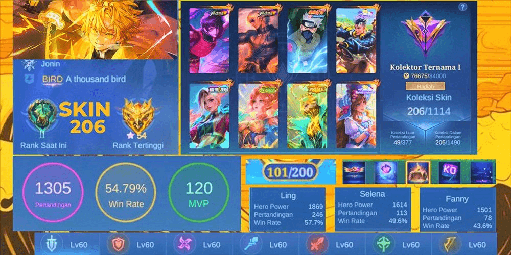 Product Showcase