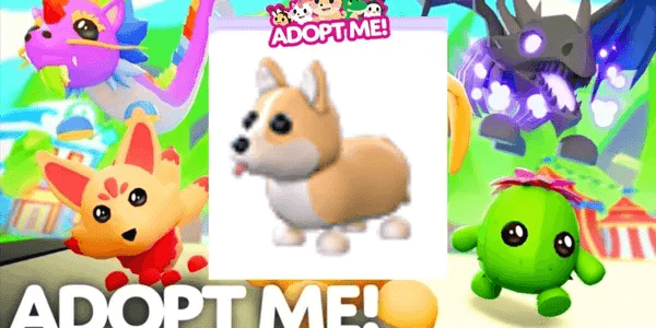 Corgi