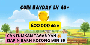 Coin 500Rb Level 40+