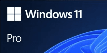 Microsoft Windows 11 Professional - 1 Device Lifetime (OEM)