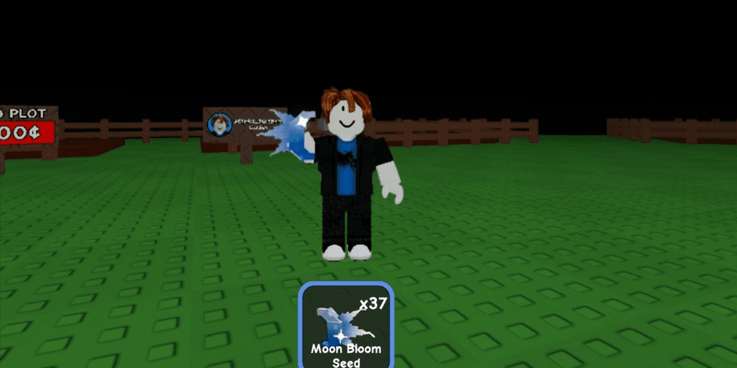Product Showcase
